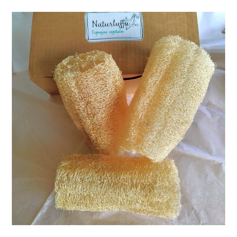 Esponja Luffa 15x8
