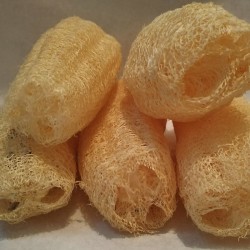 Esponja Luffa 20x6,5